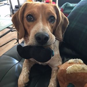 Meet your Posher, Samantha